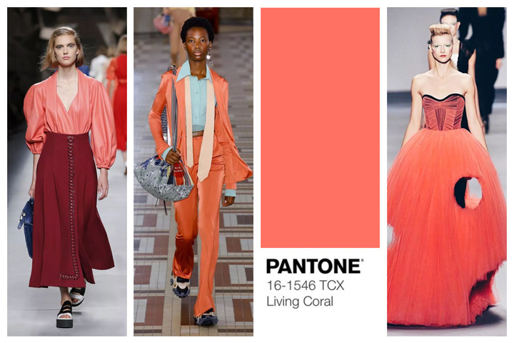 Pantone 2019ɫɺůĹռ